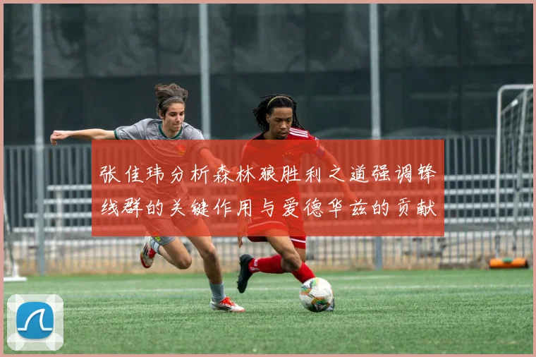 张佳玮分析森林狼胜利之道强调锋线群的关键作用与爱德华兹的贡献